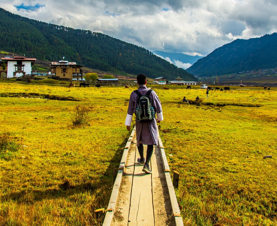 Nature Walk Through the Valley