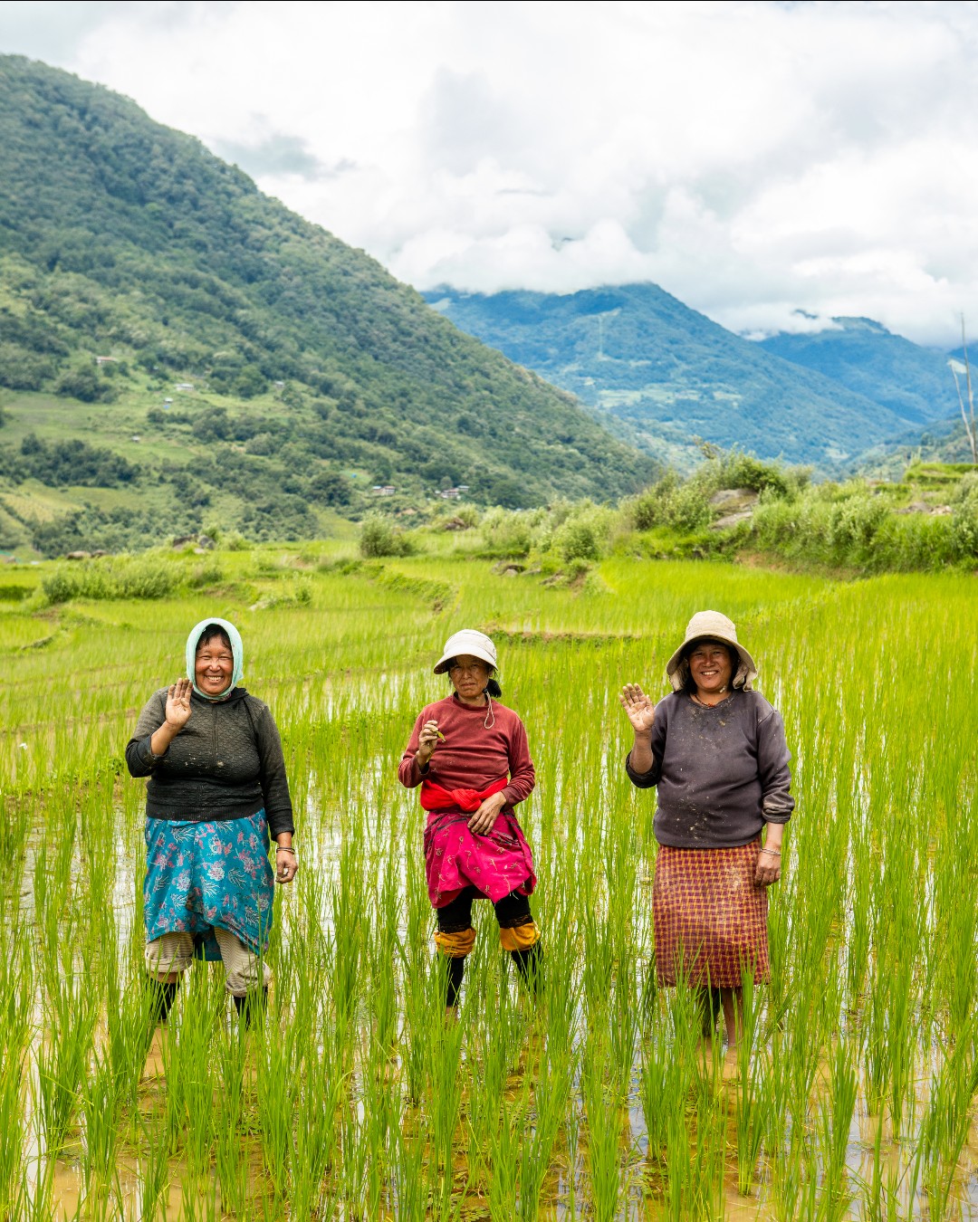 The Bhutanese Experience